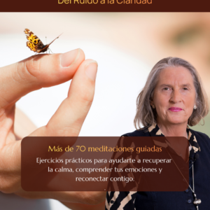 Programa de Meditaciones | Del Ruido a la Claridad | Pack 111€